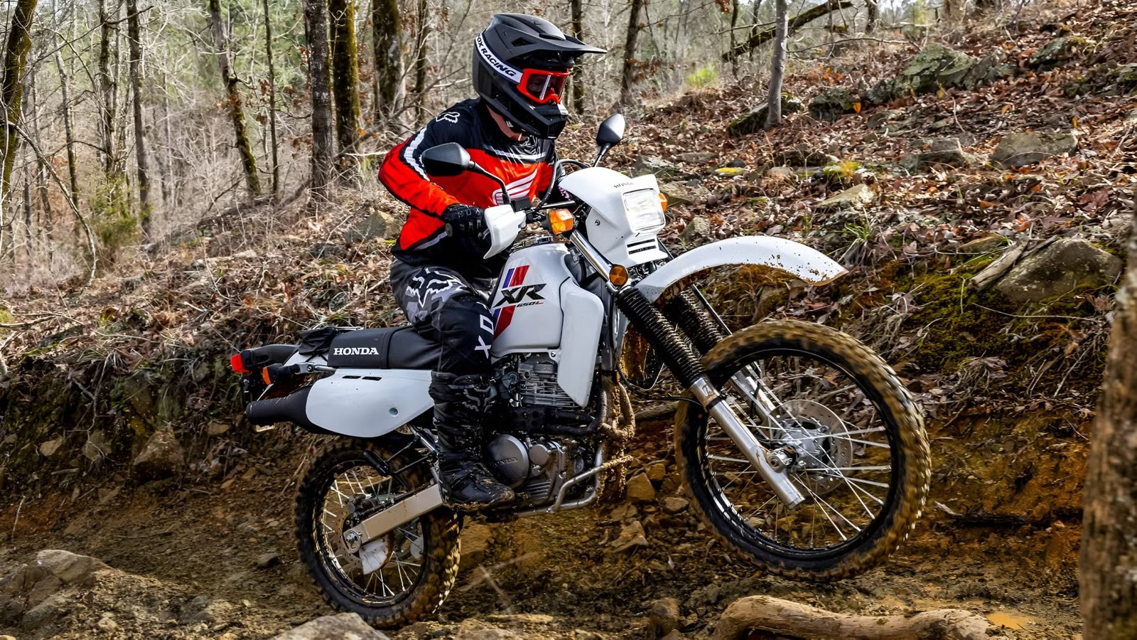 Dual-Sport Tires