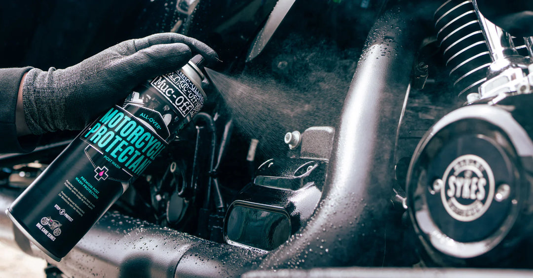 Protectants | Legacy Powersports