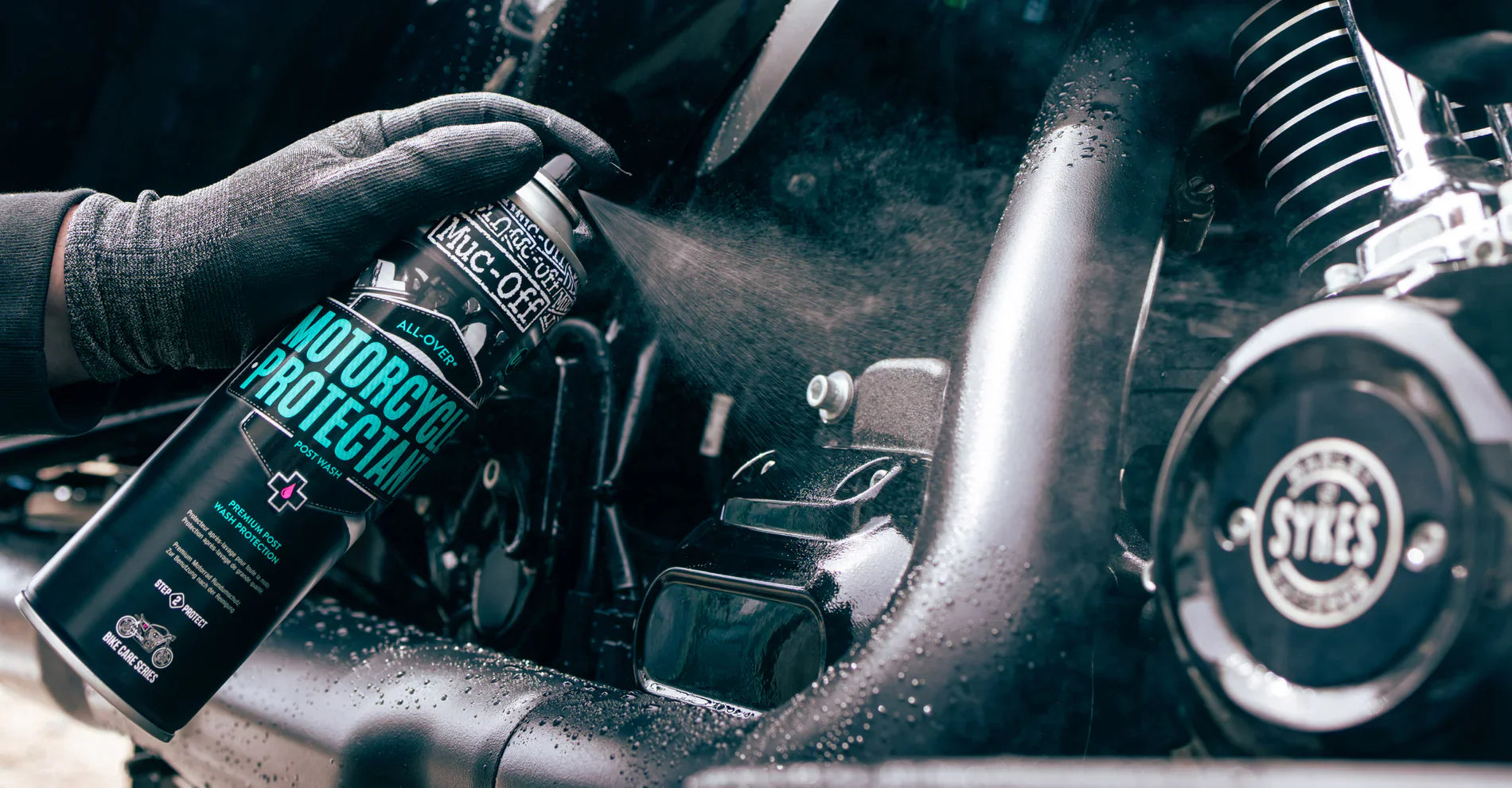 Protectants | Legacy Powersports