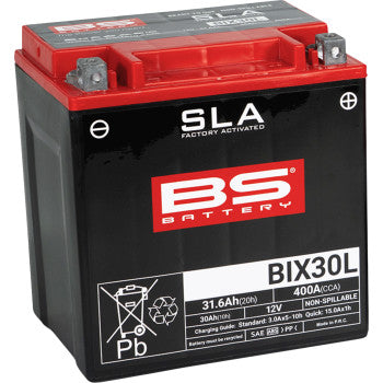 BS Battery | SLA Factory-Activated AGM Maintenance-Free Battery (choose size)
