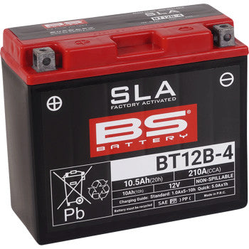 BS Battery | SLA Factory-Activated AGM Maintenance-Free Battery (choose size)