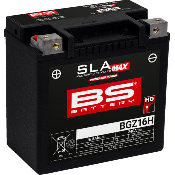 BS Battery | SLA Factory-Activated AGM Maintenance-Free Battery (choose size)