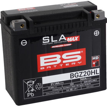 BS Battery | SLA Factory-Activated AGM Maintenance-Free Battery (choose size)