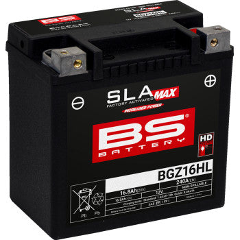 BS Battery | SLA Factory-Activated AGM Maintenance-Free Battery (choose size)