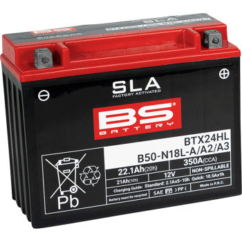 BS Battery | SLA Factory-Activated AGM Maintenance-Free Battery (choose size)