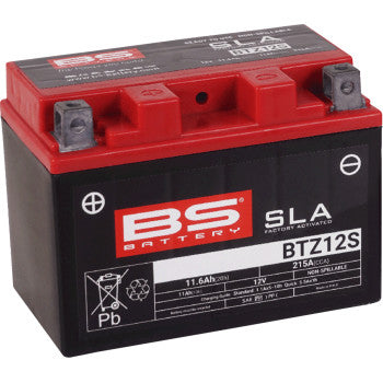 BS Battery | SLA Factory-Activated AGM Maintenance-Free Battery (choose size)