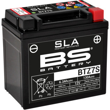 BS Battery | SLA Factory-Activated AGM Maintenance-Free Battery (choose size)