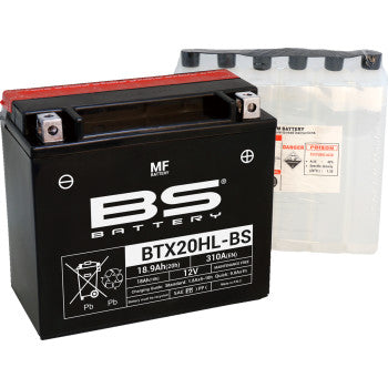 BS Battery | SLA Factory-Activated AGM Maintenance-Free Battery (choose size)