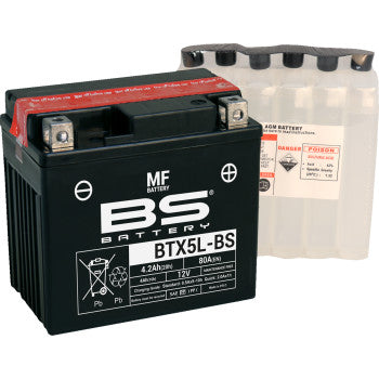 BS Battery | SLA Factory-Activated AGM Maintenance-Free Battery (choose size)